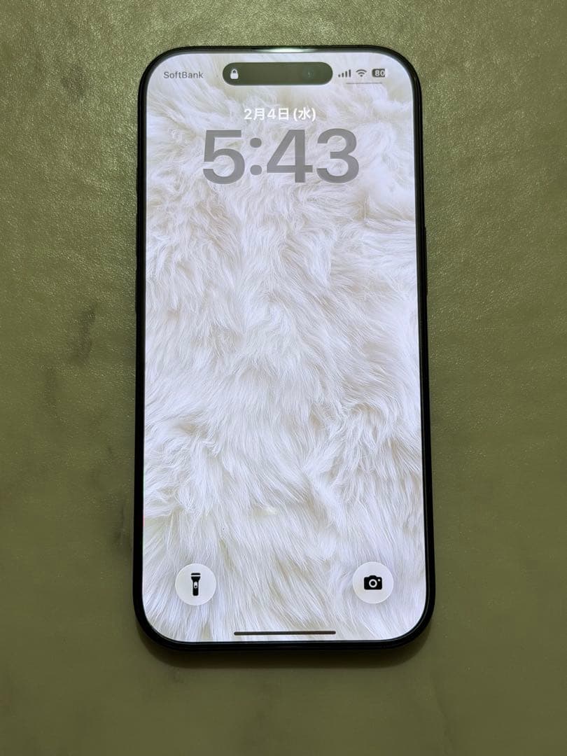 iPhone 16Pro 本体 iPhone 16 Pro - 技術仕様 - Apple サポート (日本)