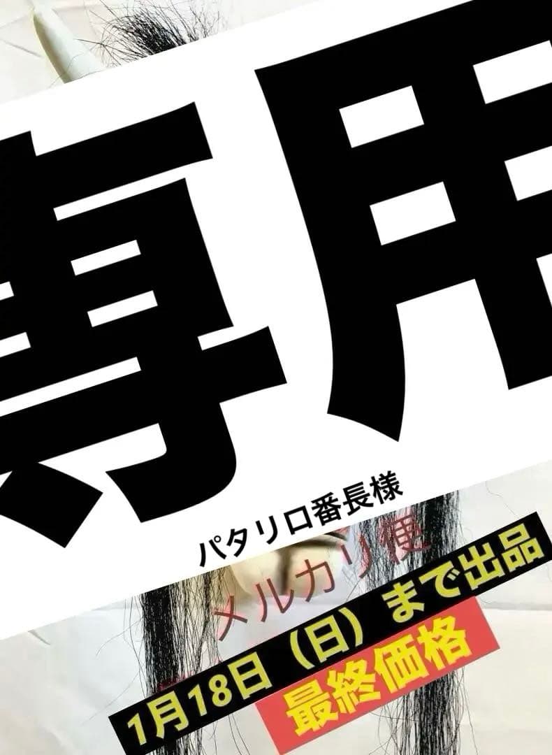 【専用】 取扱を終了した商品です］Nichipet EXⅡ (0.5～10μL) 00-NPX2-10 2