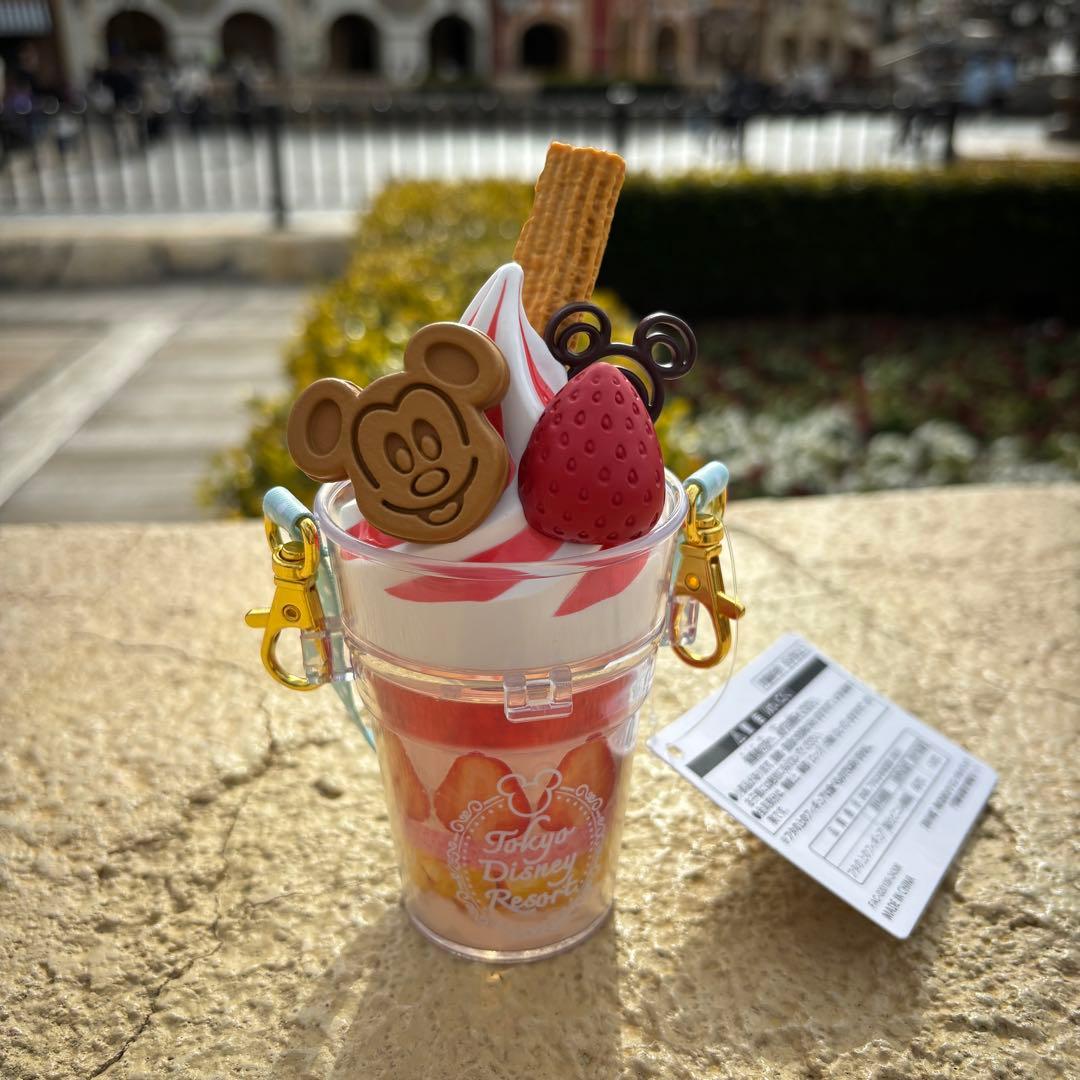 即日発送 ディズニーパルパルーザ ミニスナックケース ヴァネロペ