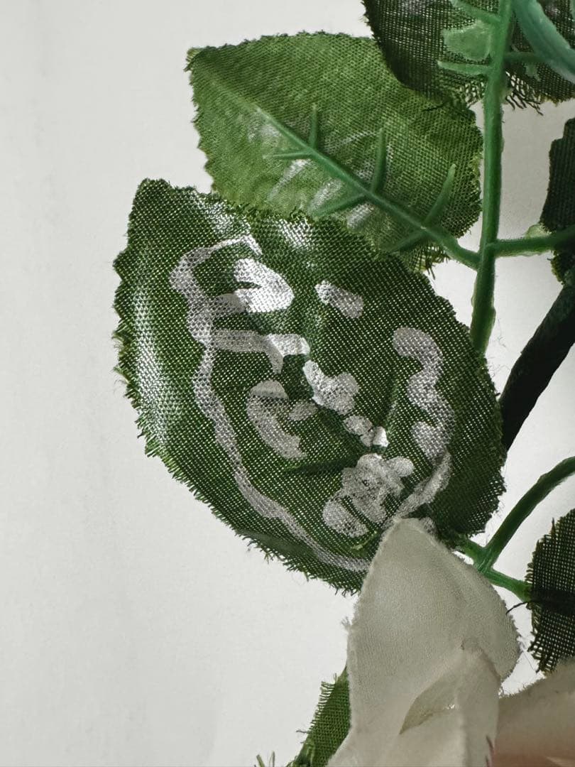 Versailles ローズライト メンバー5人サイン入り