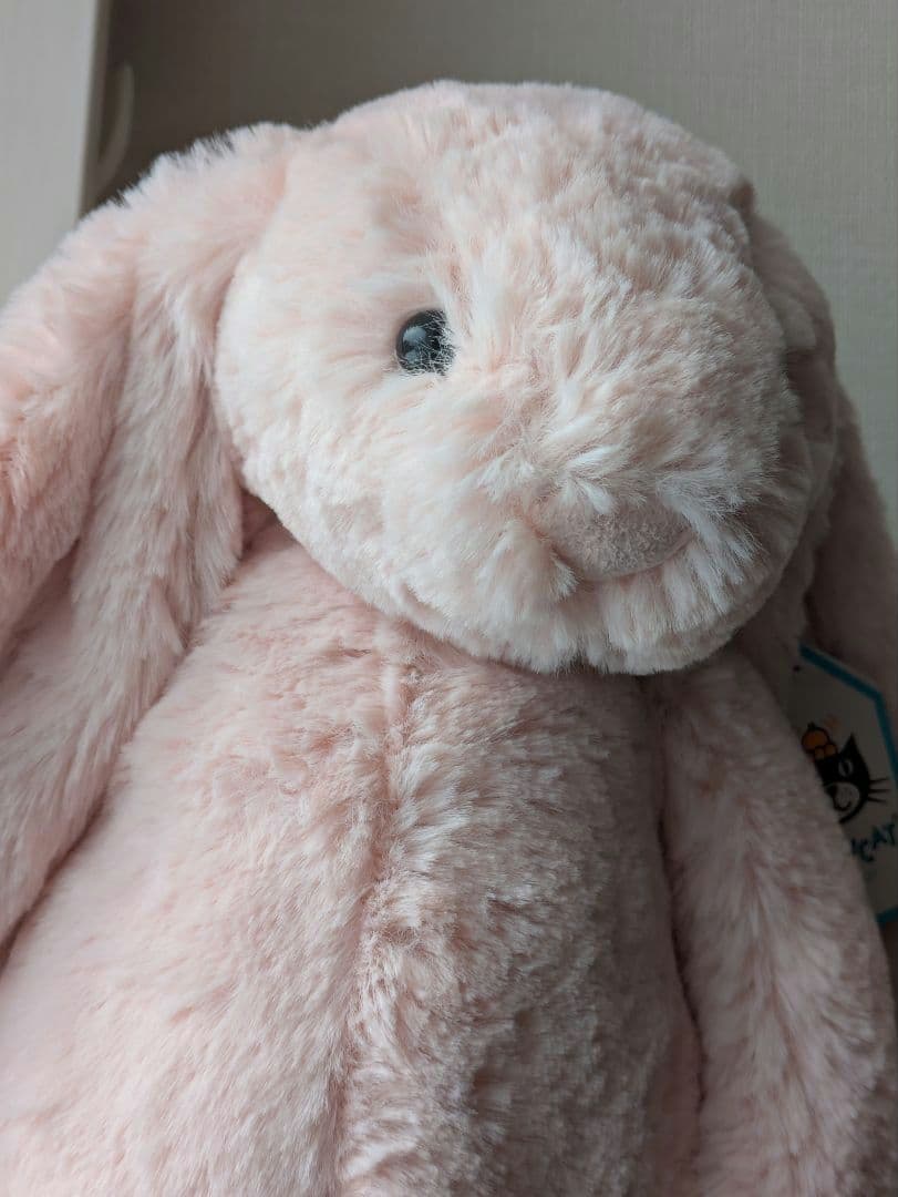  バシュフルブラッシュバニー　Mサイズ