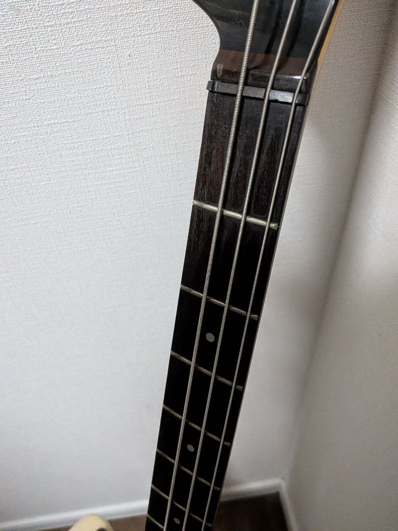 Fernandes Limited Edition ソフトケース新品弦付きます
