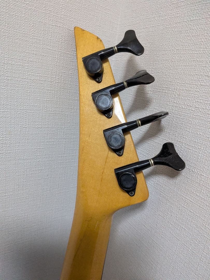 Fernandes Limited Edition ソフトケース新品弦付きます