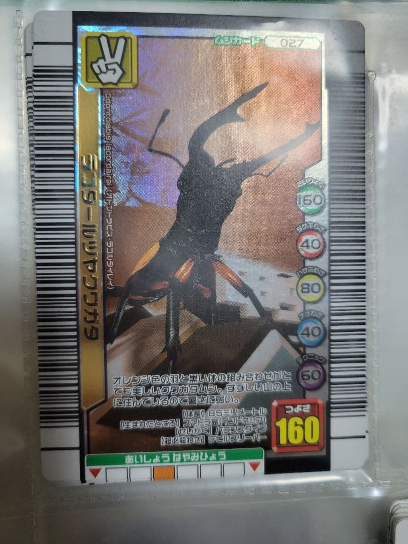 それぞれ100円！(同時購入時)