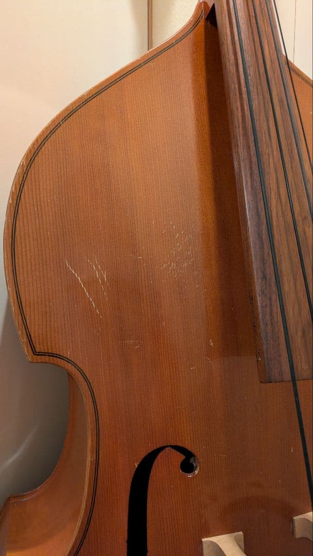 コントラバス クレモナ No.80 黒弦 - メルカリ