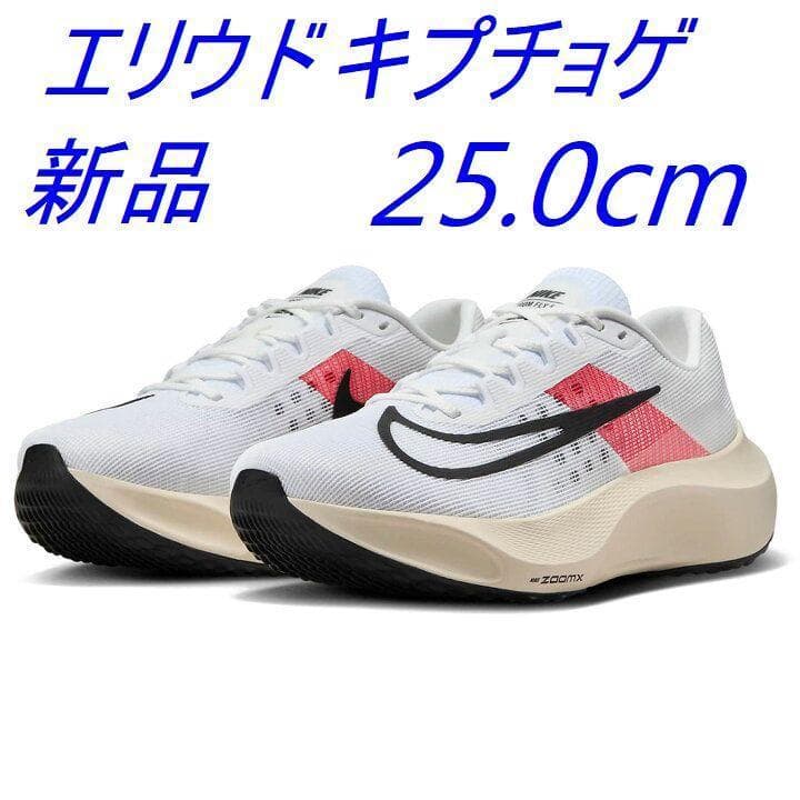 J新品 25.0cm ナイキ ズーム フライ 5 
