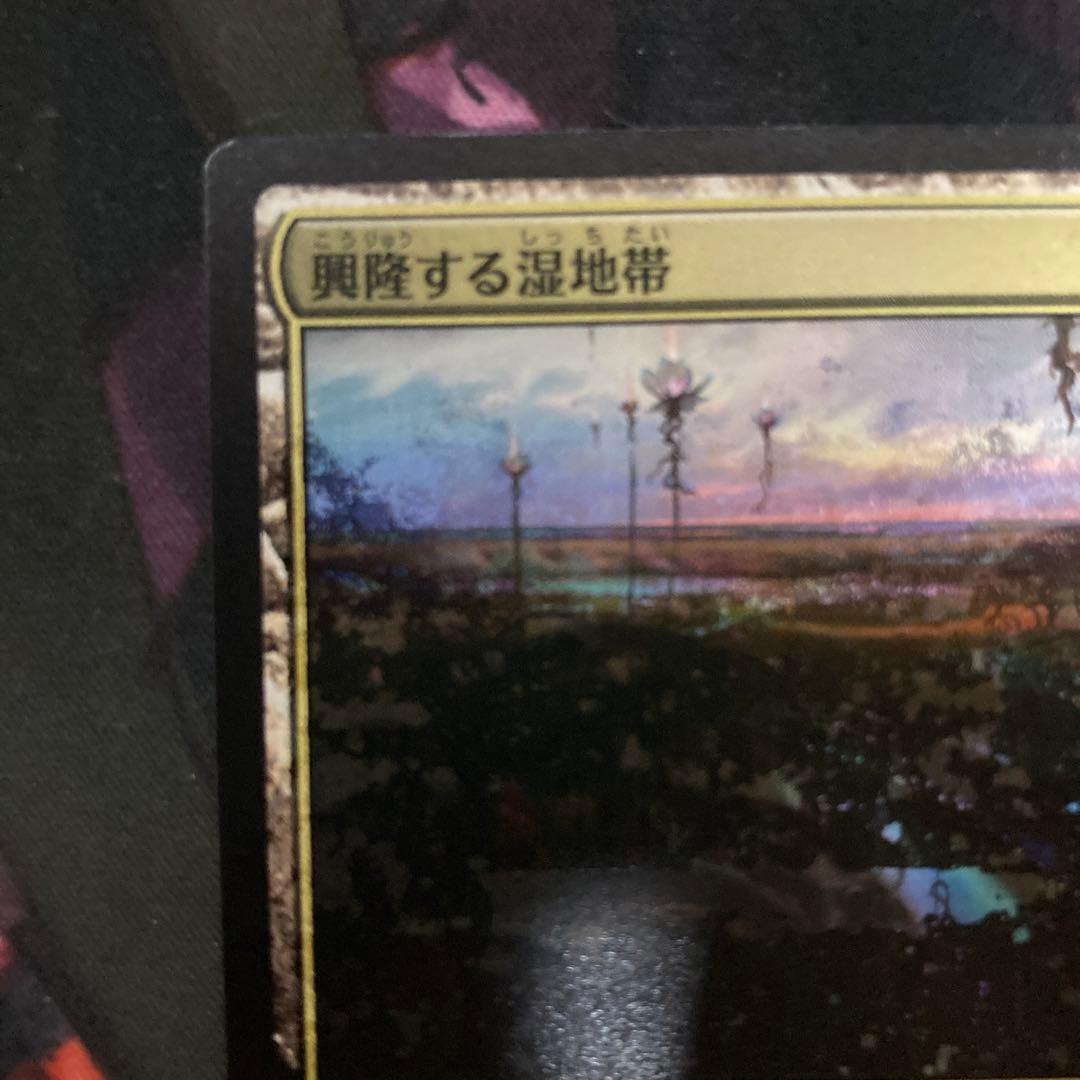 MTG ジャンプスタート2022 エラーカード 二重印刷　興隆する湿地帯