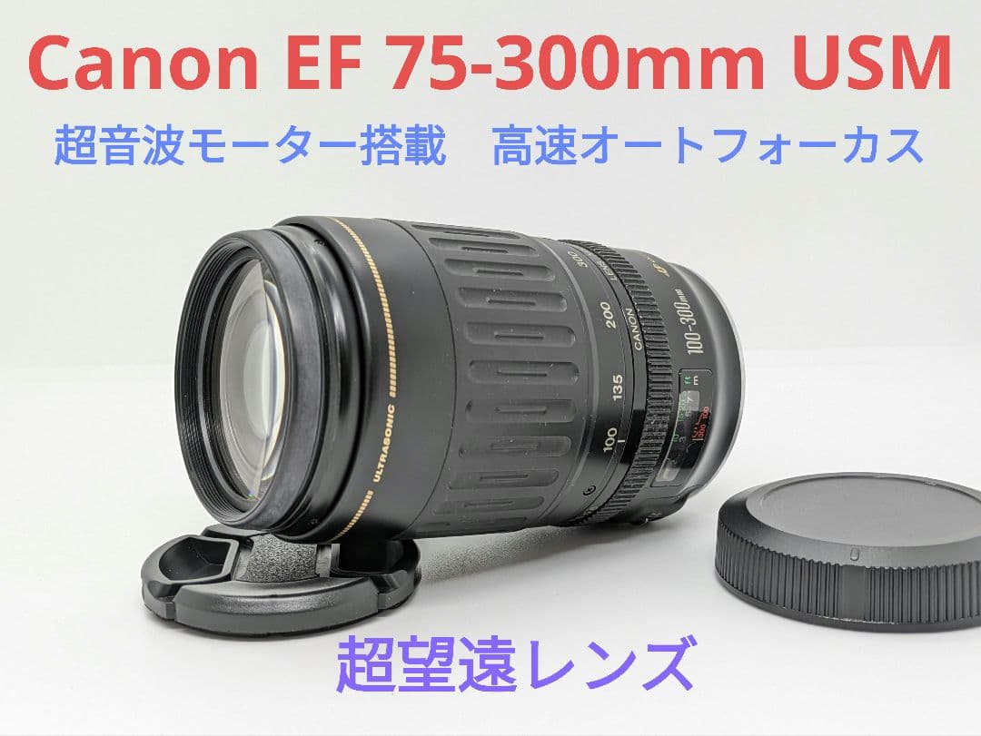 1月23日限定価格【超望遠レンズ】Canon EF 100-300mm USM Amazon.co.jp: Canon EF 100-300mm f/4.5-5.6 USM 望遠ズームレンズ