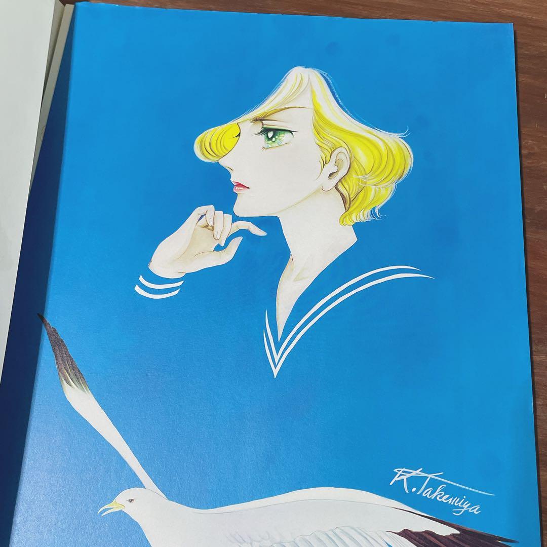 ジルベール 竹宮恵子 画集 少年の詩 風と木の詩 2枚欠品 帯付き - メルカリ