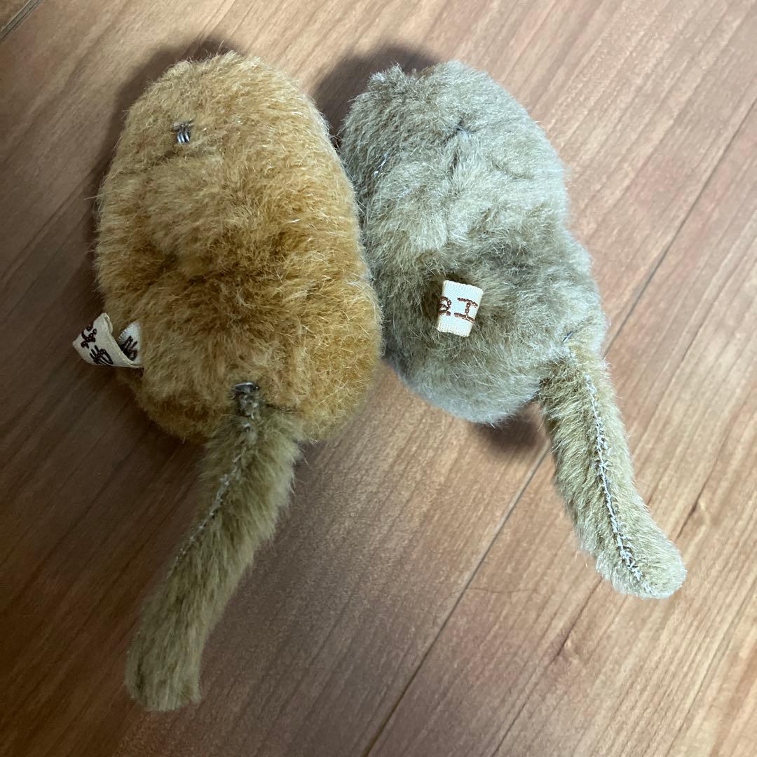 やまね工房 やまねぬいぐるみ2匹セット - メルカリ