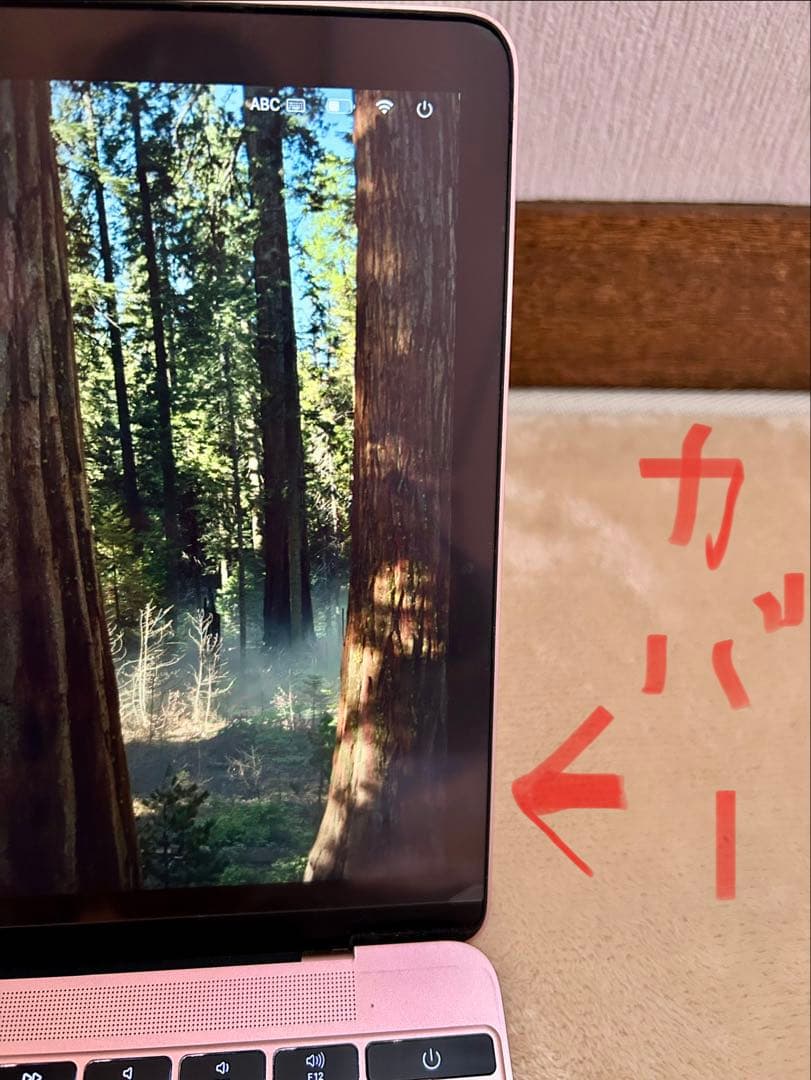 訳あり MacBook 12㌅ 2016 ローズゴールド 8GB 外付SSD起動 - メルカリ