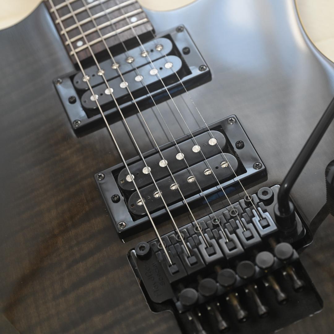 Washburn レア 虎目 エレキギター ブラック 動作確認OK G023