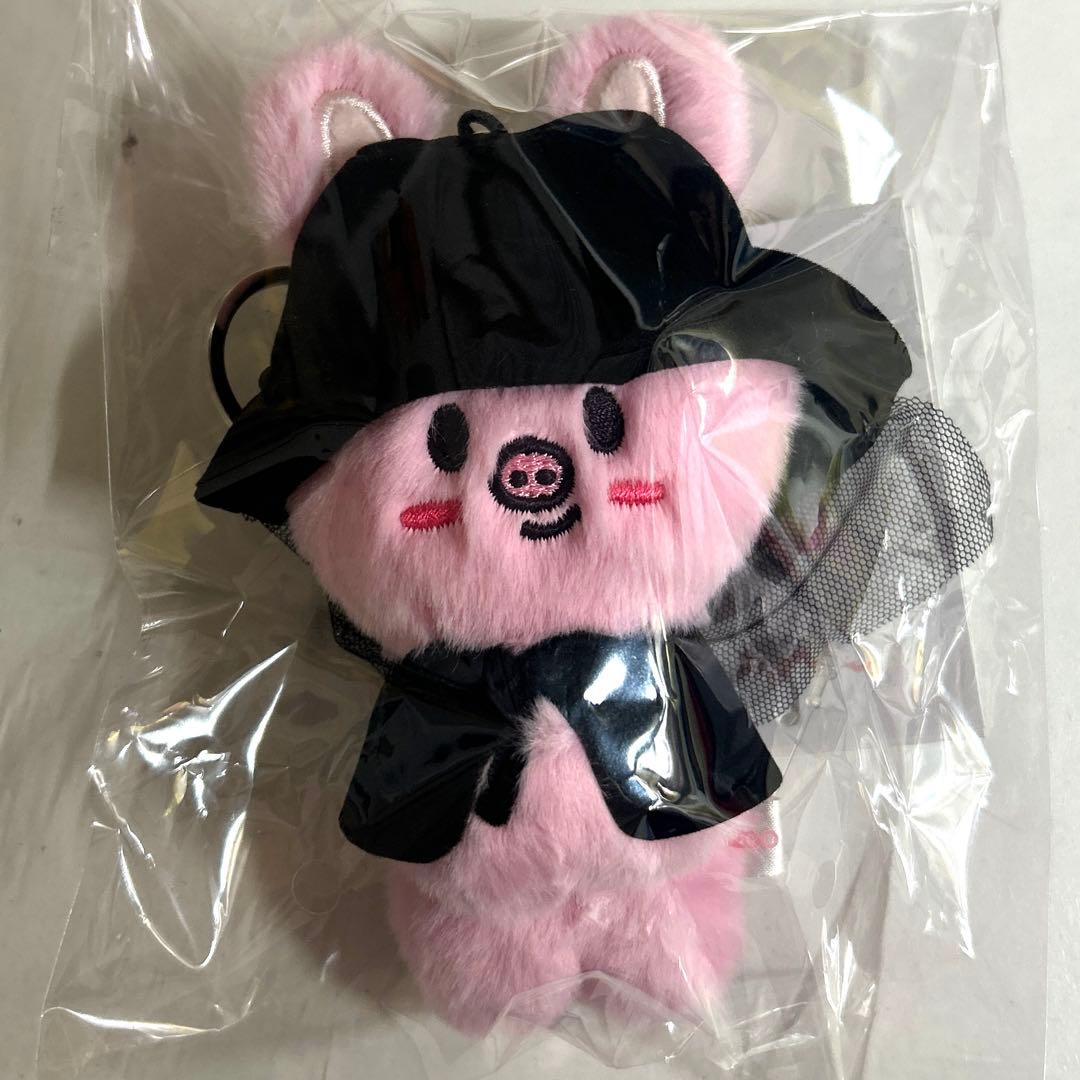 Stray Kids SKZOO チャンビン マグネットキーリング - メルカリ