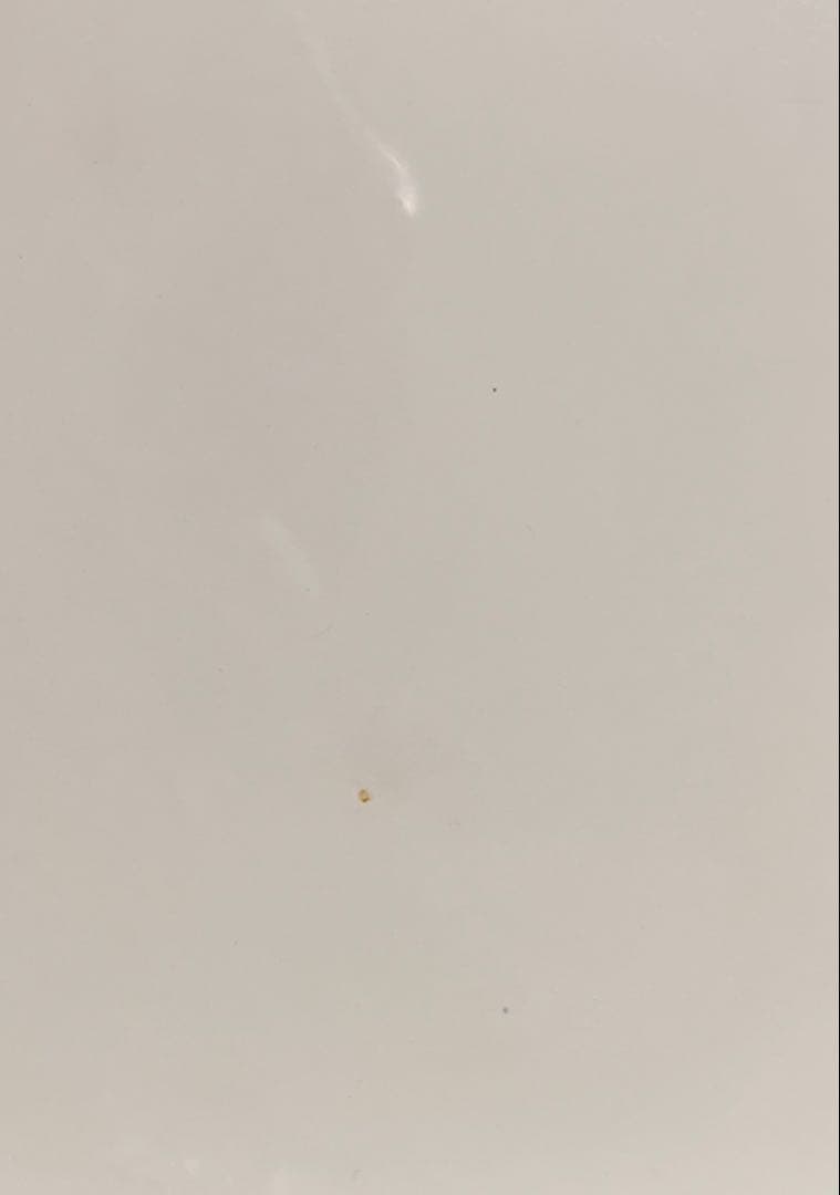 エヴァンゲリオン 綾波レイ 缶バッジ ポストカード