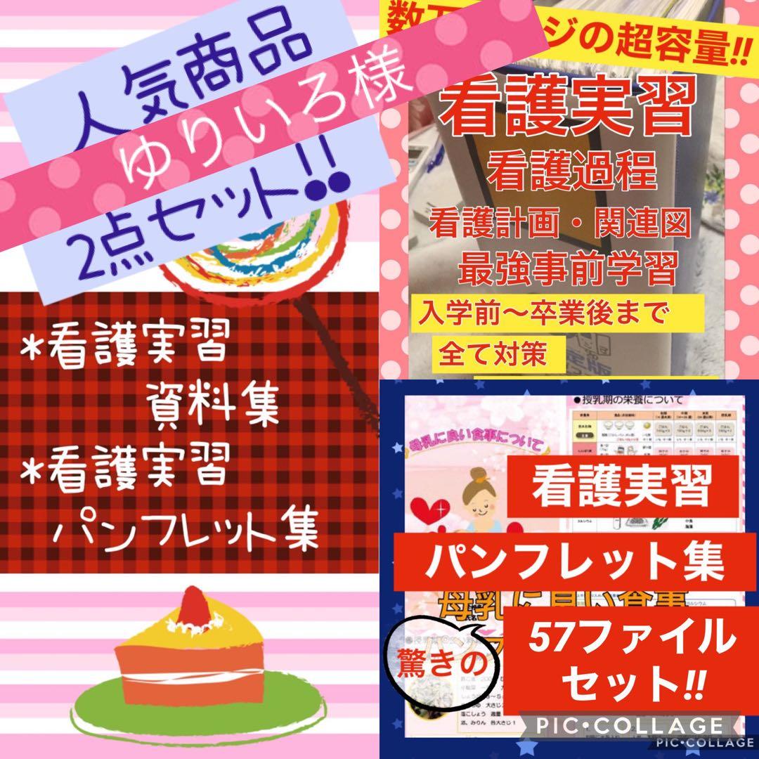 専用 看護学生 看護実習 看護過程 手順書 関連図 計画 国家試験 国試