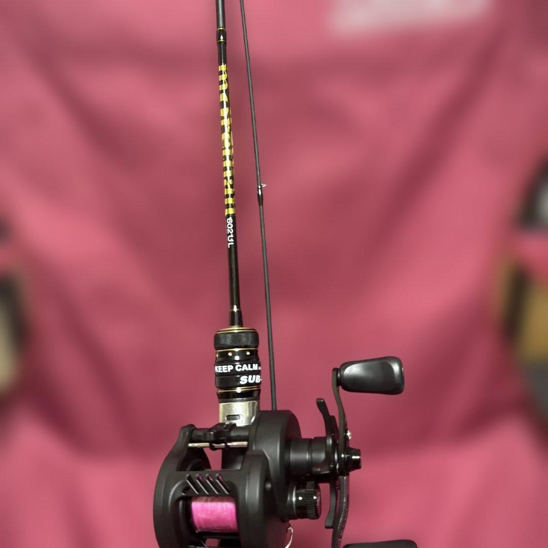 最終価格‼️TEBEN LiteSpin DC右、c602ULロッドセット - メルカリ