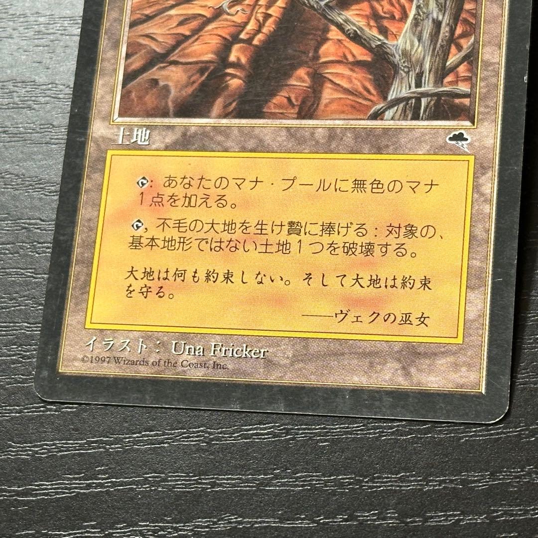 MTG 不毛の大地 日本語 初版 3枚 - メルカリ