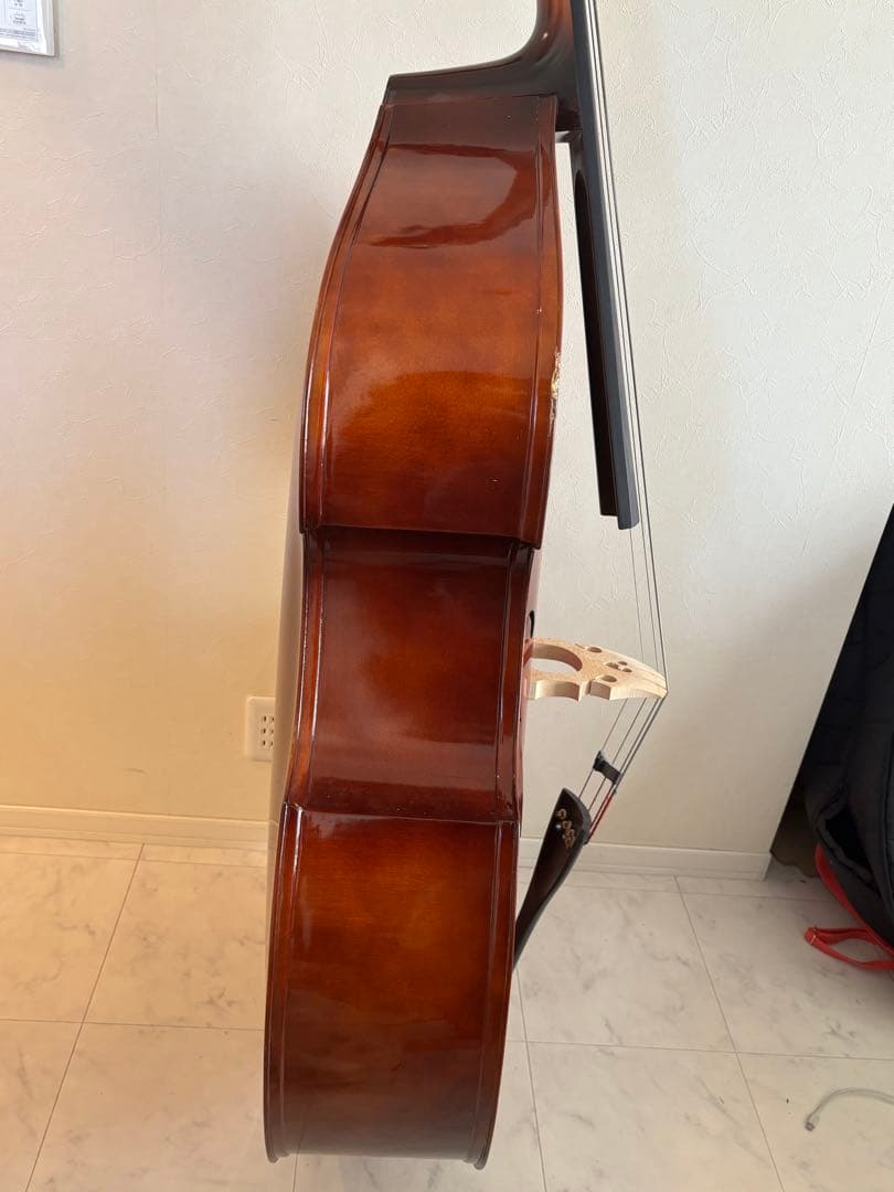 カルロジョルダーノ SB-150 ソフトケース付き （直接取引限定） - メルカリ