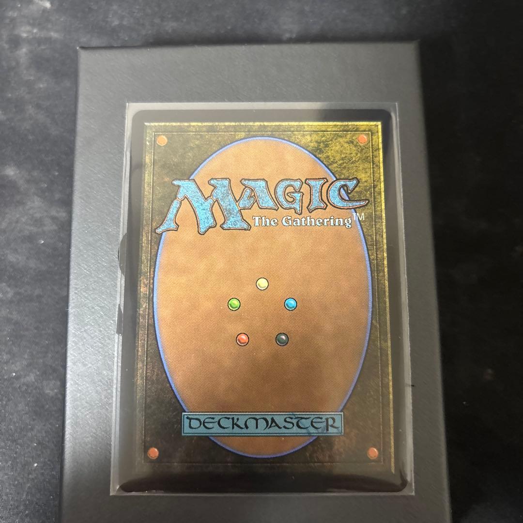 Misty Rainforest 霧深い雨林 ドラゴンスケイル Foil