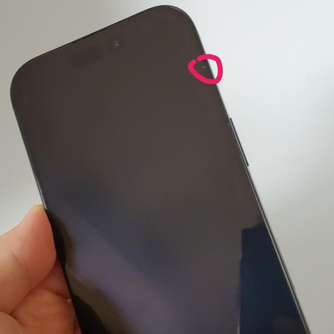 海外版 iPhone 16pro 1TB（eSIM x 2）シャッター音なし - メルカリ