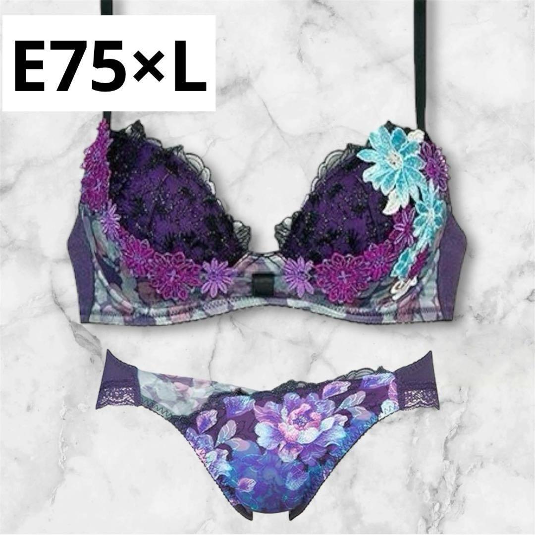 サルート E75×L ブラジャーショーツ 51G ワコール サルート 51G ブラジャー BTJ751 3/4カップワイヤー