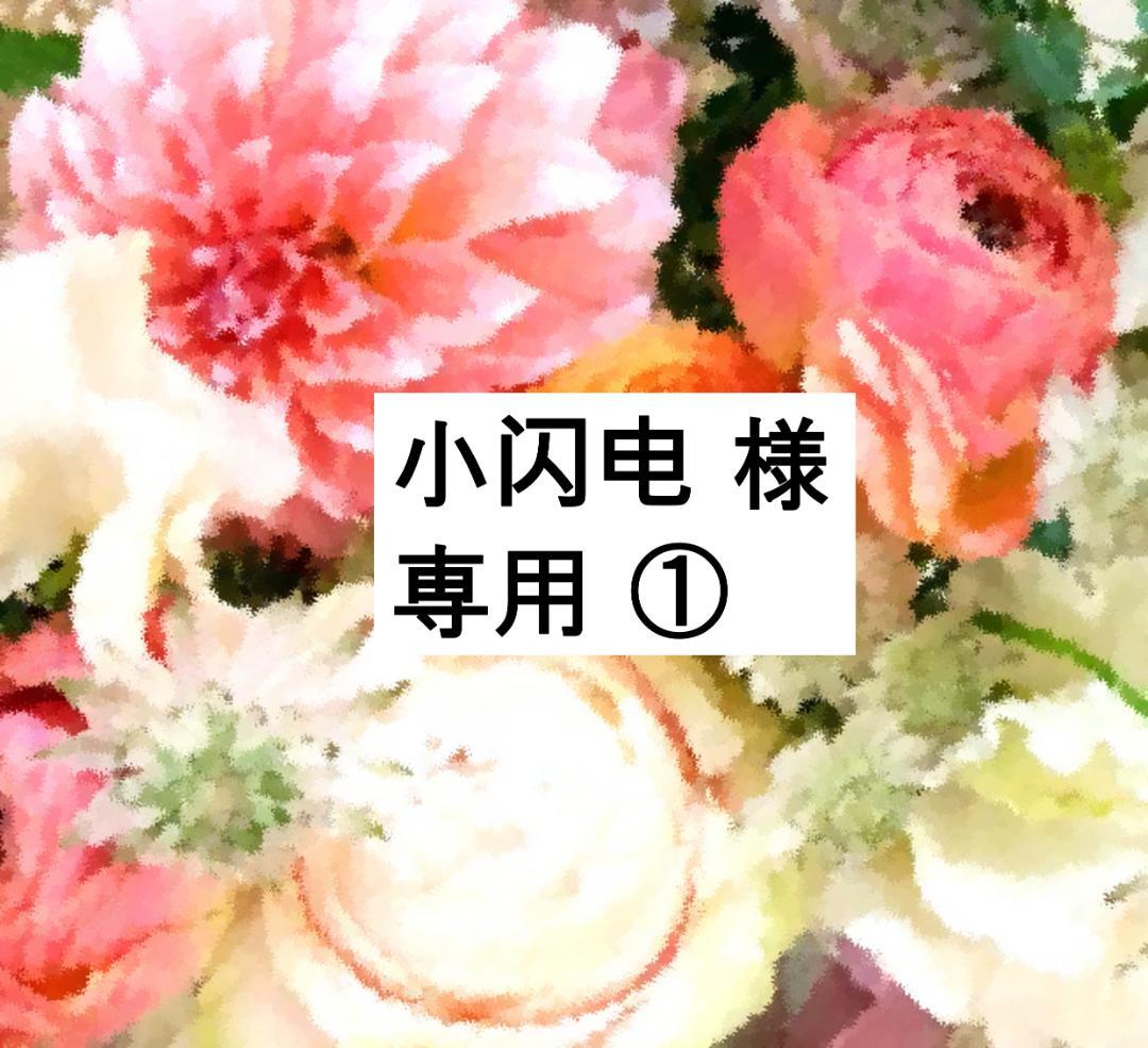 小闪电 ① 2022年 最新版 フルセット 未開封ディスク55枚 未使用 BenQ、ミニLEDを採用した31.5型4Kゲーミングモニター「EX321UX