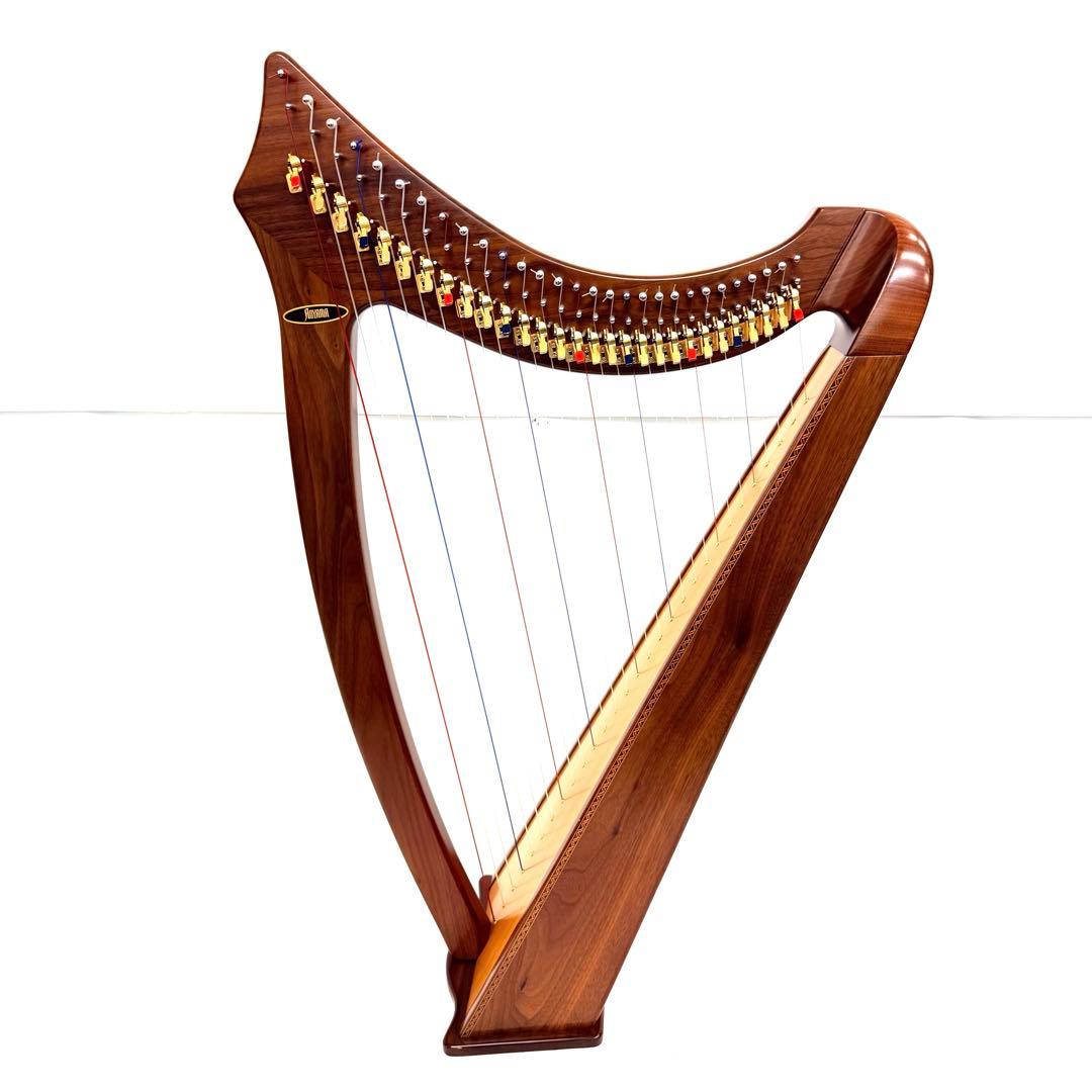 極上品】 Aoyama 29S 青山ハープ サウルハープ 29弦 - メルカリ