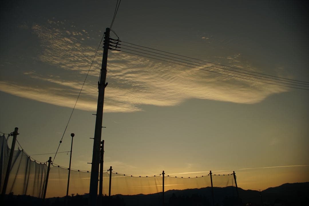 作例付き RMC TOKINA 28-85mm F4 OM 管mpr - メルカリ