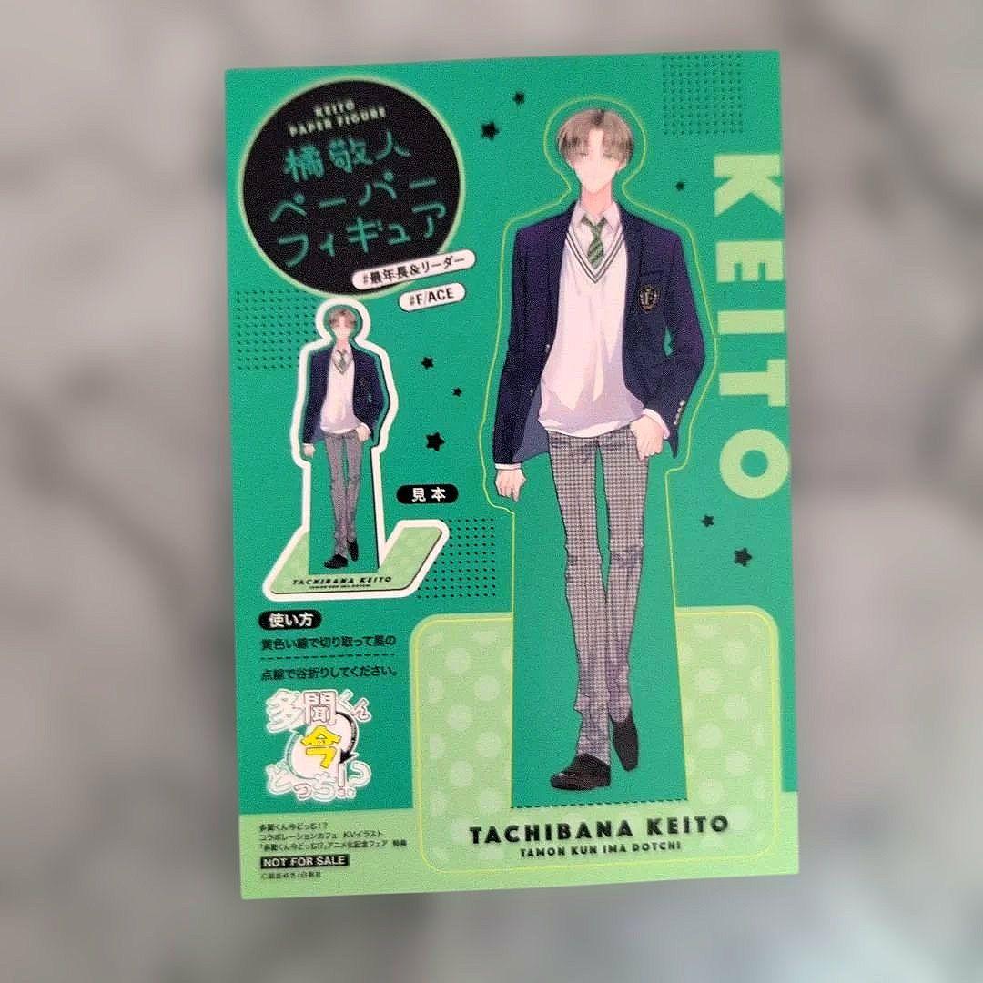 1月新刊》多聞くん今どっち!?13／TSUTAYA特典コンプリートセット12点