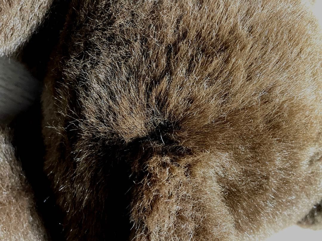 昭和レトロ ヴィンテージ 大きい モンチッチ