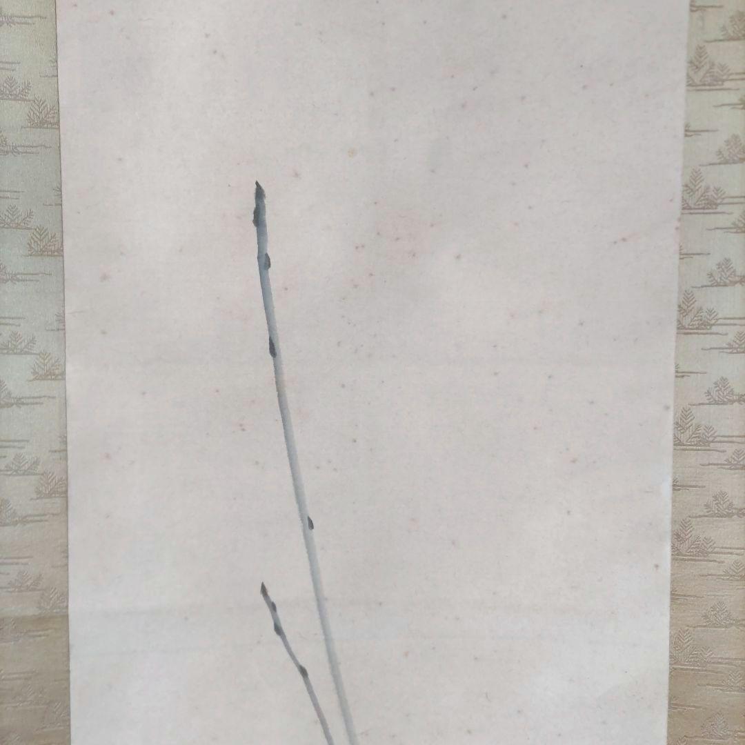 梅に鶯　英鳳　掛軸　Y272