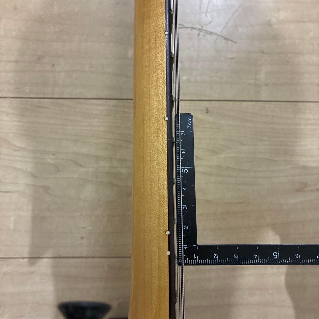 新品弦　交換済み　Bill Lawrence BCOR木暮武彦 シャケ