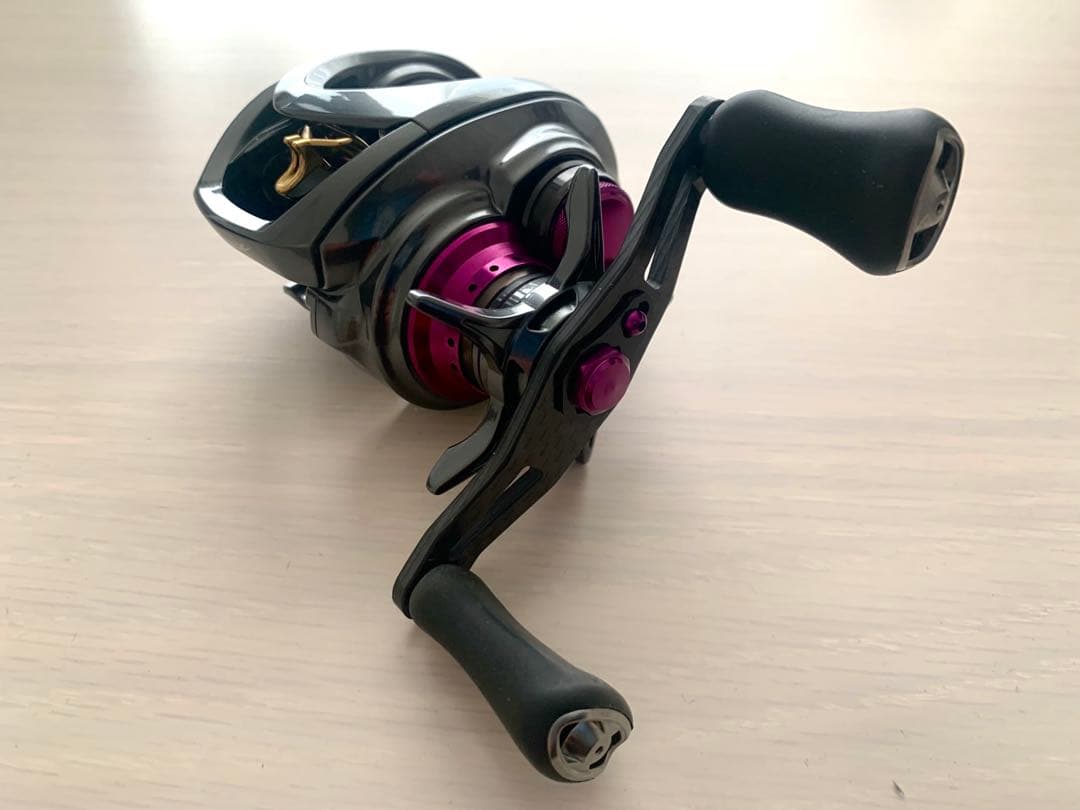 スティーズCT SV TW XHL 美品 ダイワ 19 STEEZ スティーズ CT SV TW 700XHL 釣具 ベイトリール 左