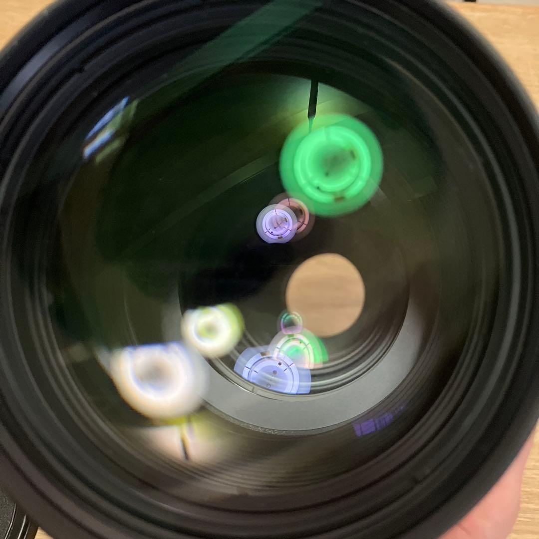 サンニッパ ゲットだぜ！Tokina AT-X SD 300mm F2.8【作例あり