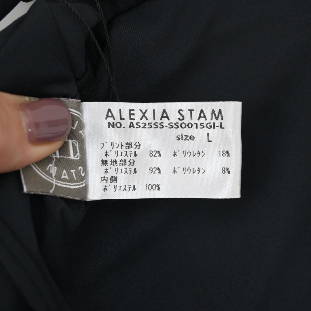 □ 45793☆夏 定価2.5万 アリシアスタン スイムウェア ギンガム