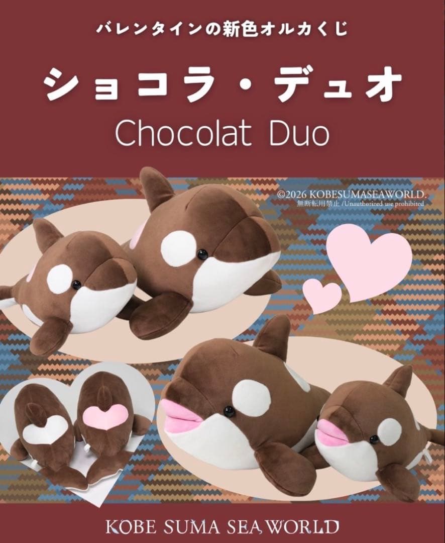 オルカくじ 新色 ショコラ・デュオ 3等 4等 2匹セット 須磨シー