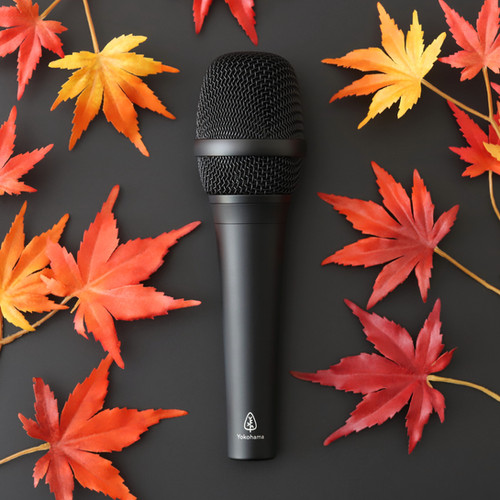 momiji | Yokohama Microphone