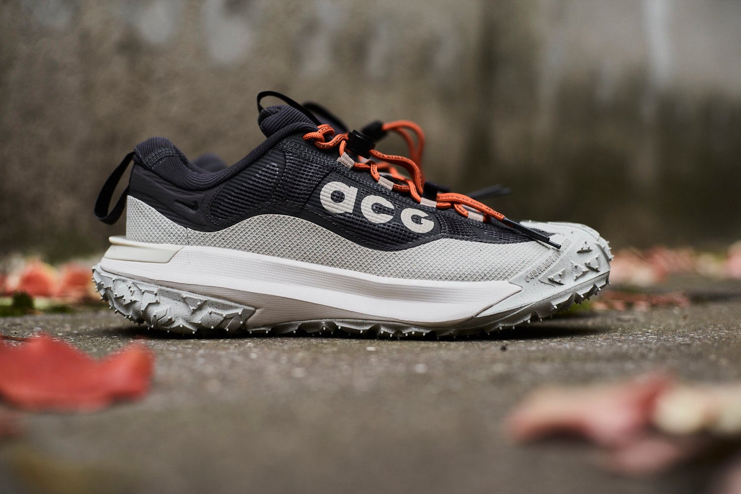 Nike ACG Mountain Fly 2 Low GTX Unisex Shoes