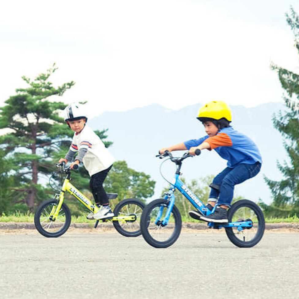 ピ*ズ様 ストライダー Hi-STANDARD デザイン ピ*ズ様 ストライダー Hi