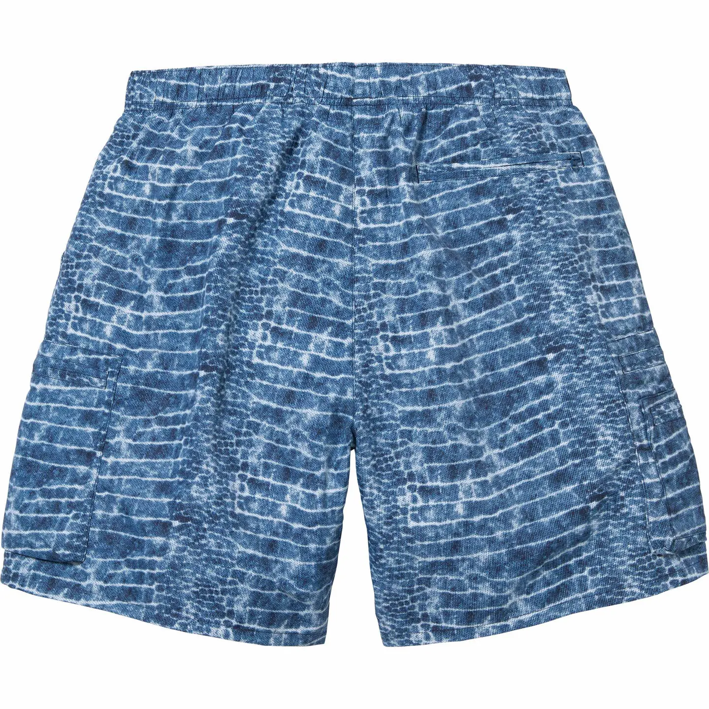 Cargo Water Short | Supreme 24ss